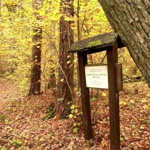 Trako miško gamtinis pažintinis takas 2 Autorius - Viešai prieinama svetainė: https://nesedeknamuose.lt/