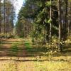 12 kaimų žygis (Paluknys)