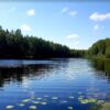 Tausalo žygis (Skurvydiškė, Telšių raj.)
