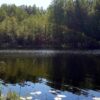 Tausalo žygis (Skurvydiškė, Telšių raj.)