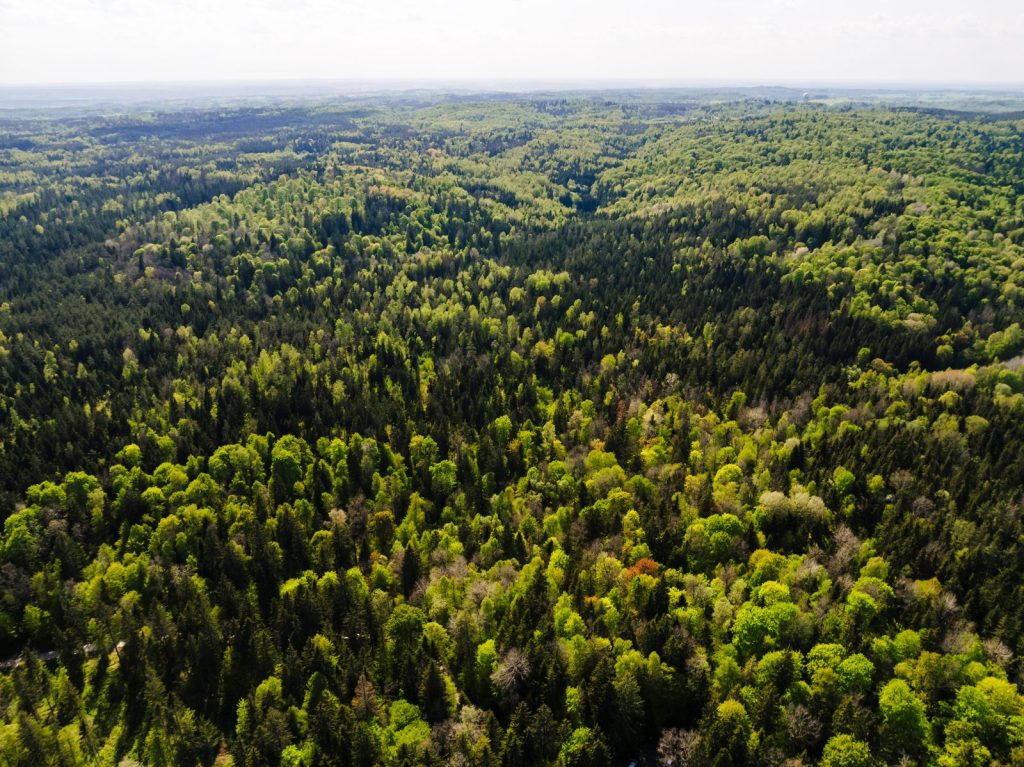 Archyvinė PTuras renginio nuotrauka