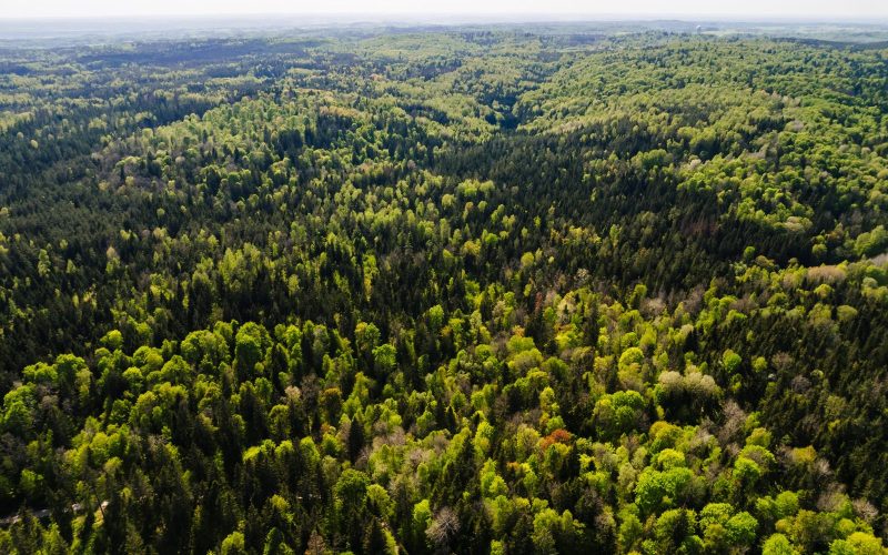 Archyvinė PTuras renginio nuotrauka