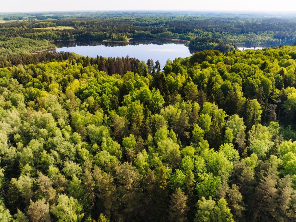 Archyvinė PTuras renginio nuotrauka