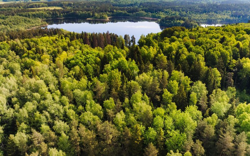 Archyvinė PTuras renginio nuotrauka