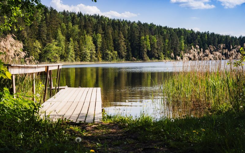 Archyvinė PTuras renginio nuotrauka